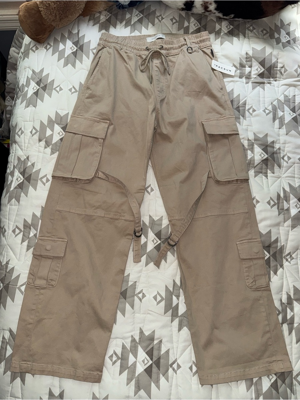 Pacsun Baggy Cargo Pants